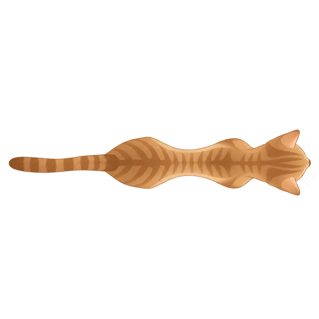 Cat at BCS 3 of 9, seen from above