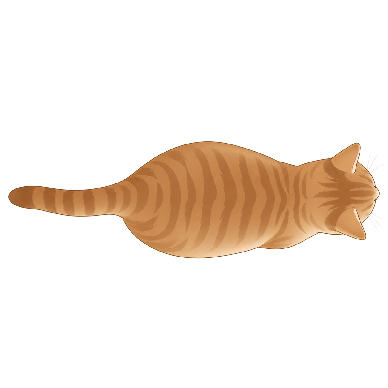 Cat at BCS 6 of 9, seen from above