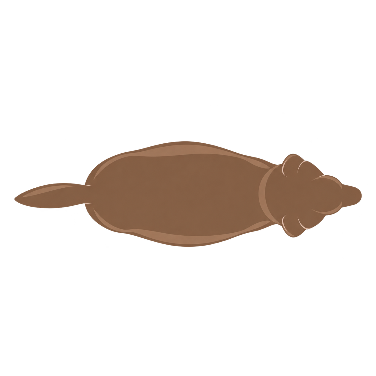 Dog at BCS 6 of 9, seen from above