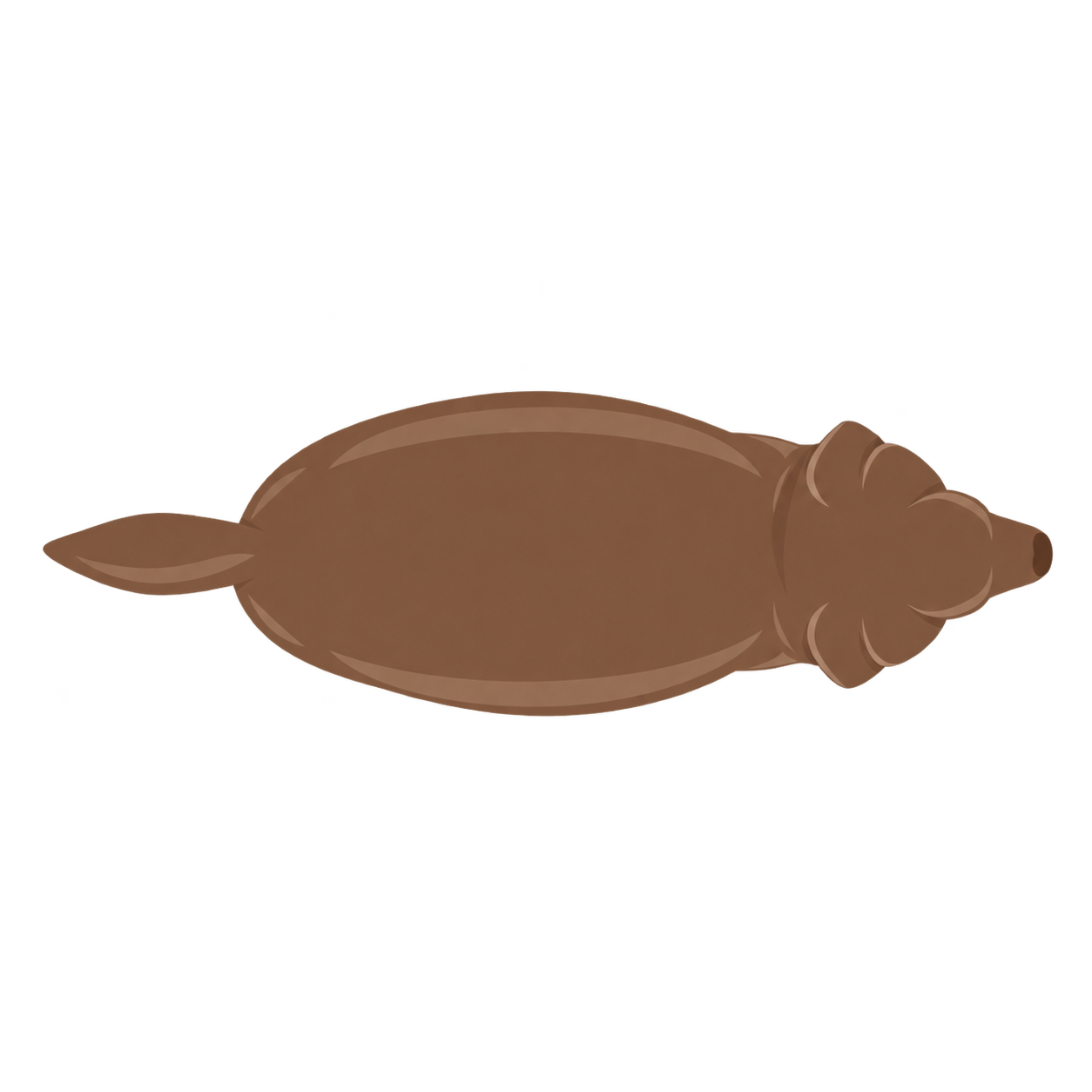 Dog at BCS 7 of 9, seen from above
