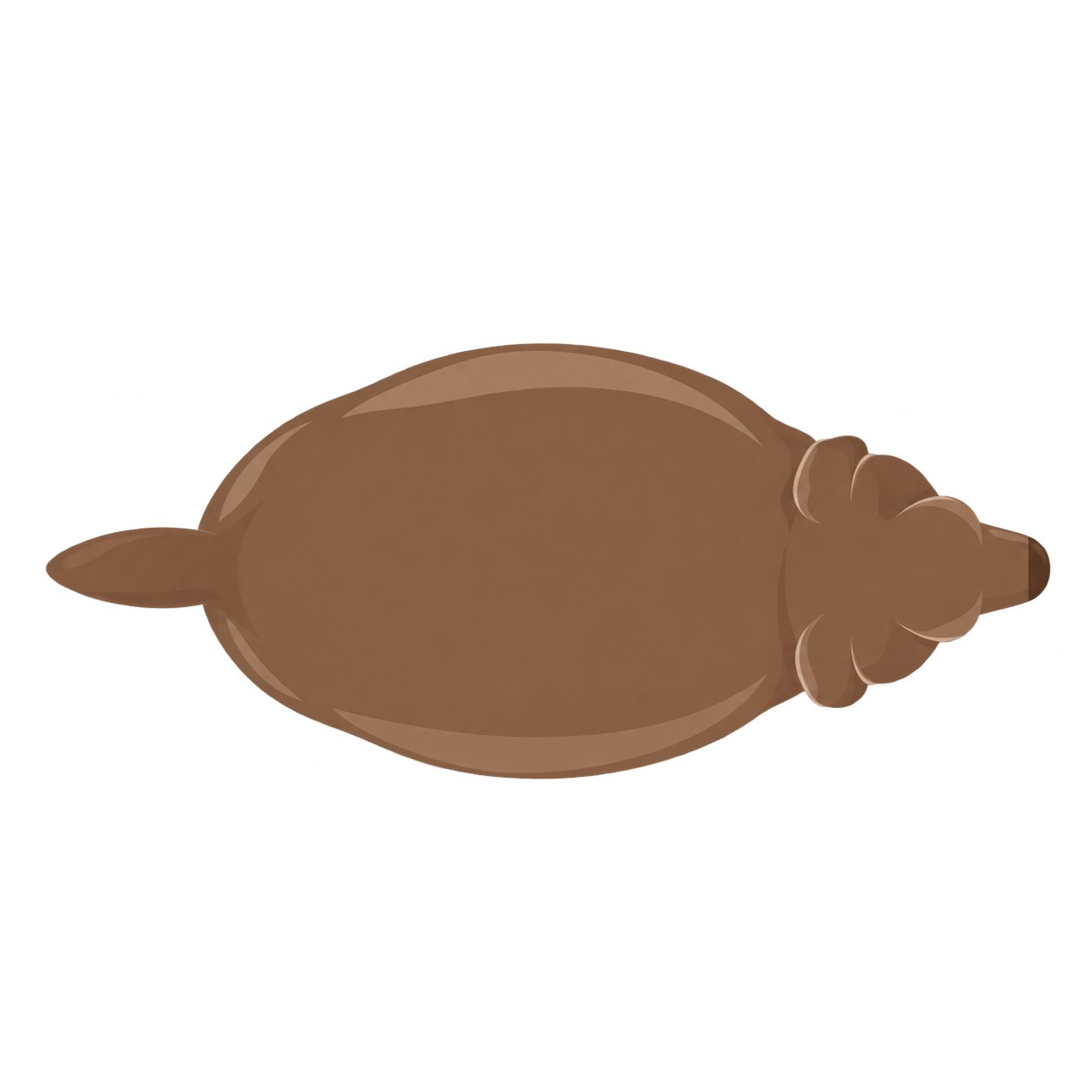 Dog at BCS 8 of 9, seen from above